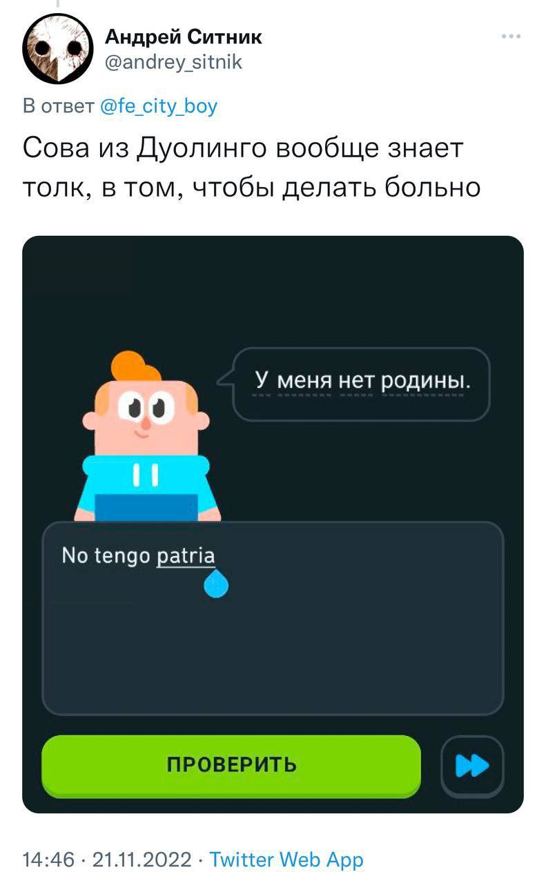 Почему вы не выучите язык в Duolingo?