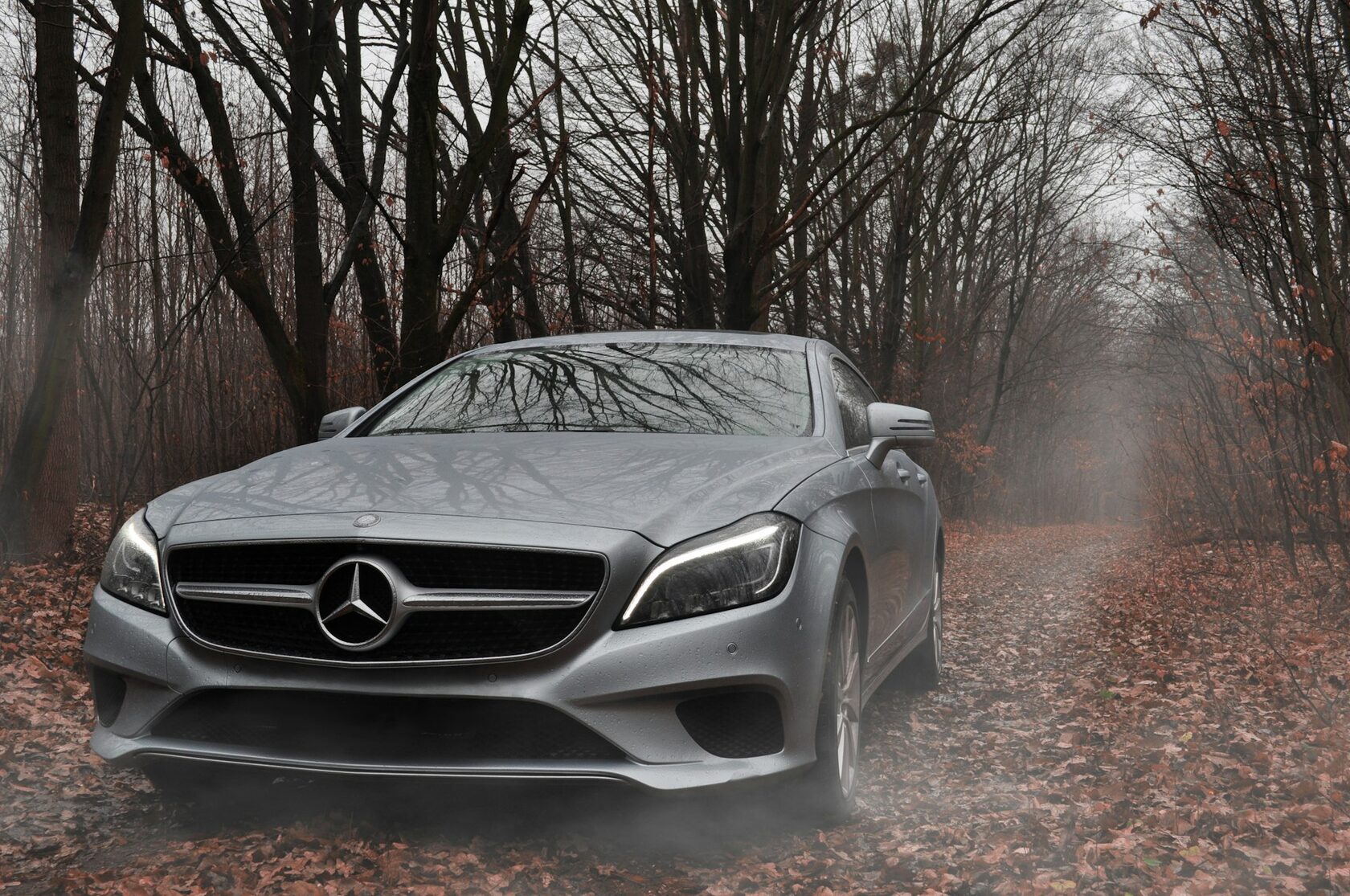 Цифровая версия CLS Банан