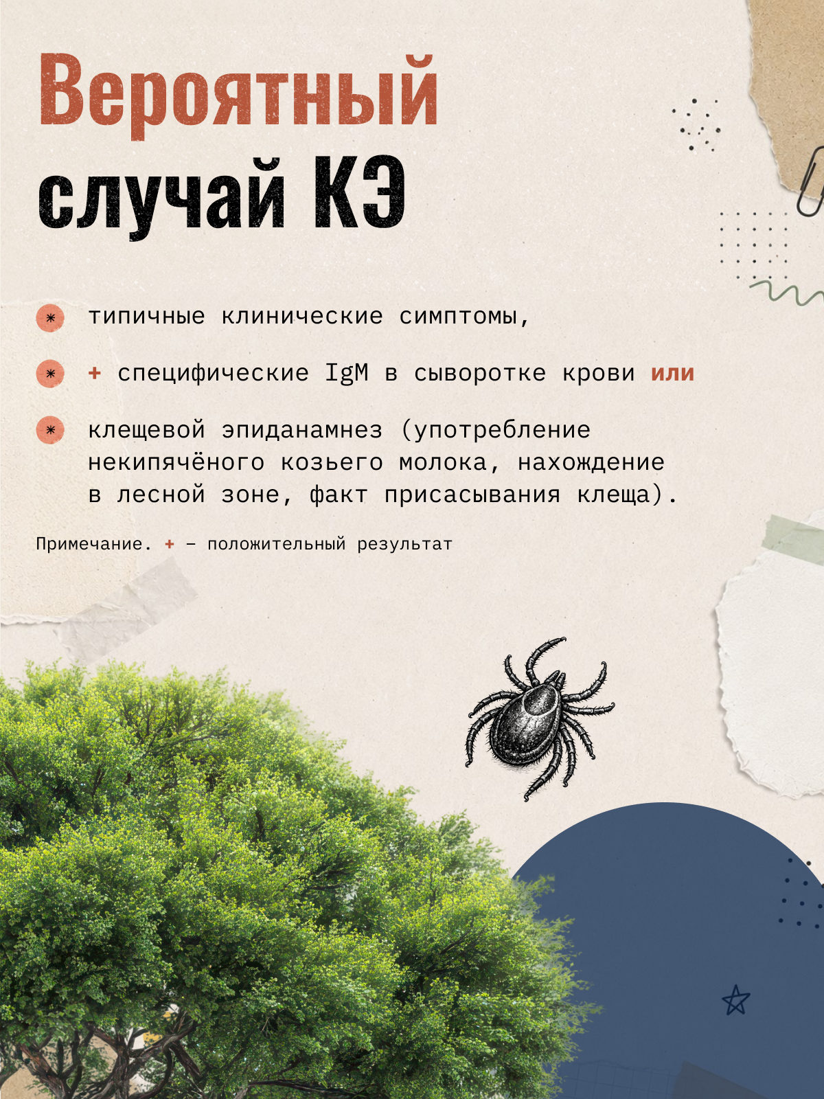 Карточка 17