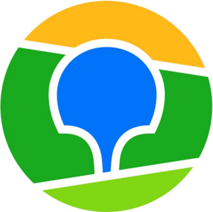website icon