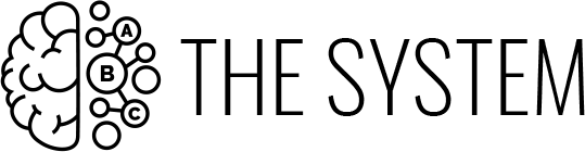 THE SYSTEM