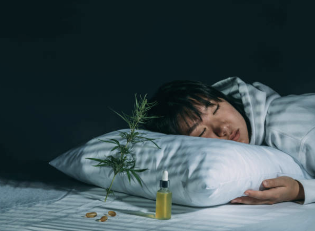 Blog SleepDoctor | Science Du Sommeil