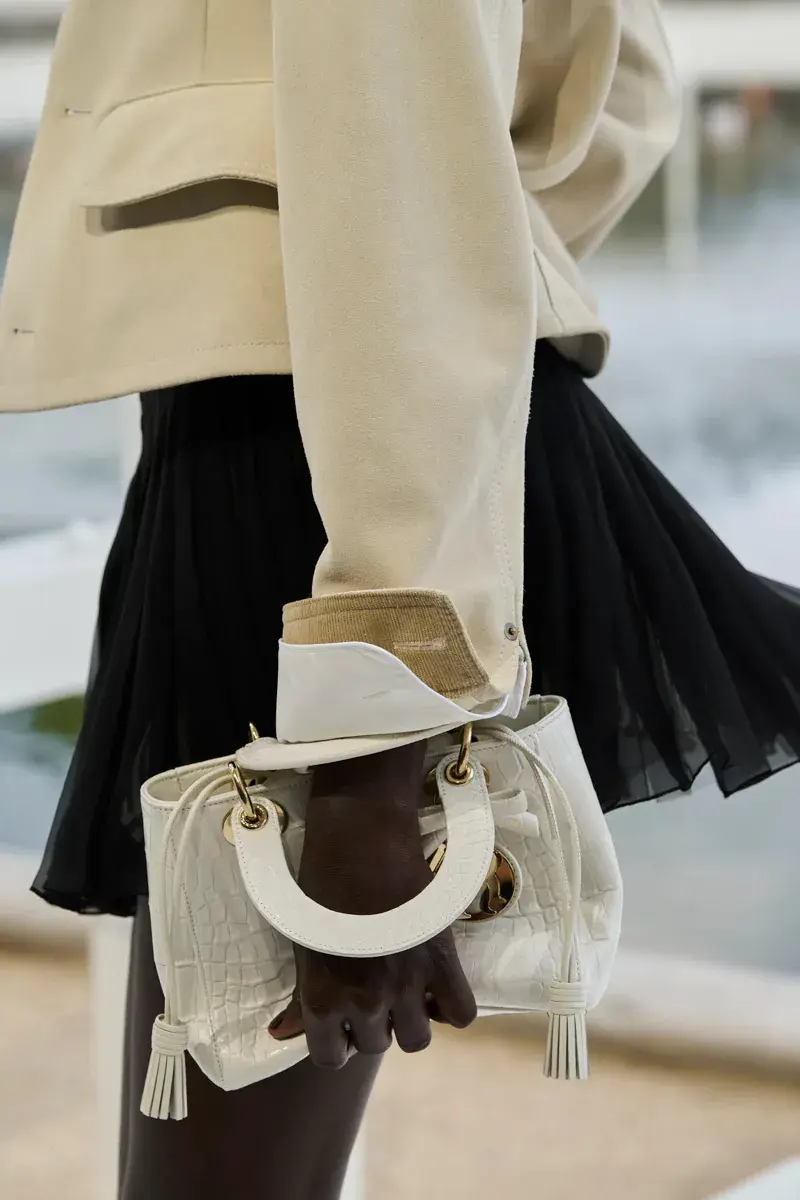 Сумки Dior Spring 2027 46
