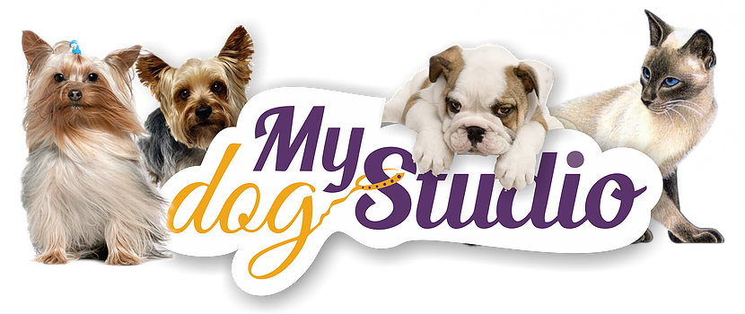 Fun dog studios. Зоосалон дог. Зоосалон Фаворит. Oh my Dog СПБ. My Dog Cat Ego.