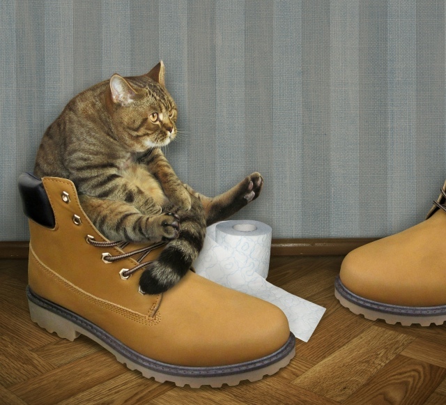 Женщины — сильный пол, который хочет быть слабым., изображение №2