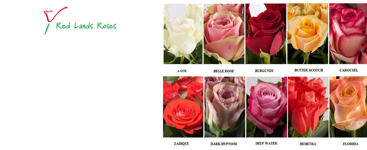 Розы с плантации Red Lands