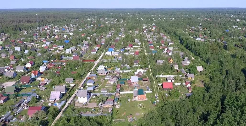 Погода в поселке мшинская. Посёлок Мшинская Ленинградская область. Садоводство Мшинская Ленинградская. Станция Росинка Ленинградская область.