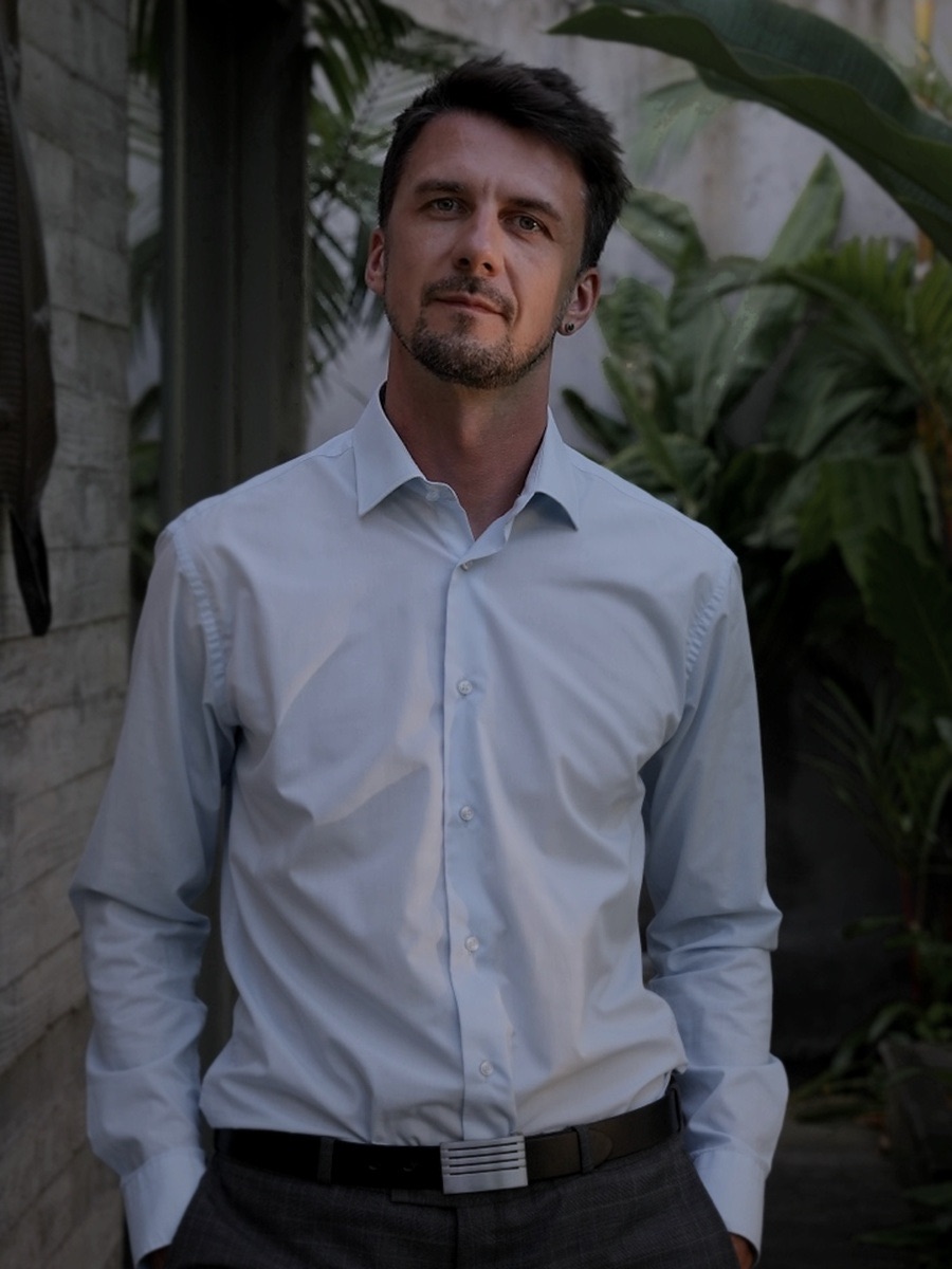 Дмитрий Регеша — метод работы