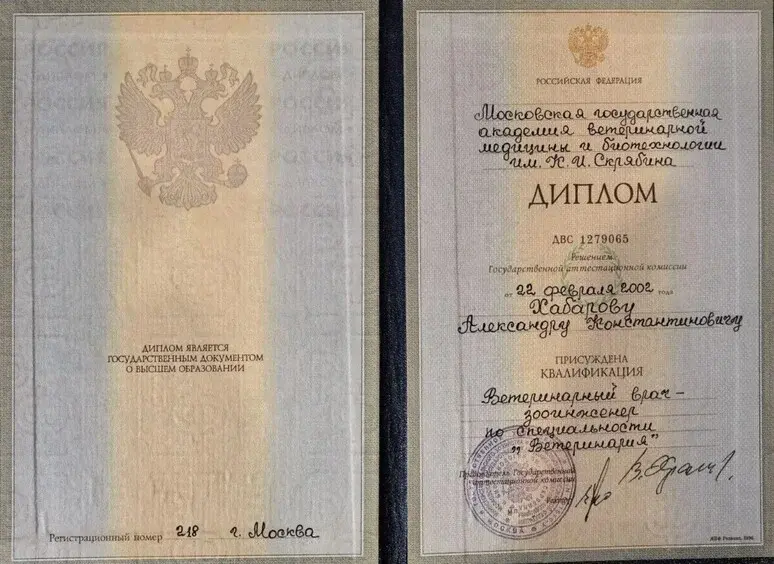 Диплом Хабарова А.К.