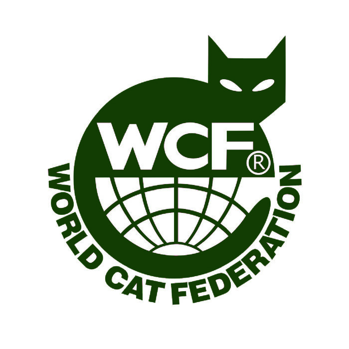 Выставочные классы кошек. Титулы wcf. Wcf картинки. Титулы кошек по системе wcf. Кошачий титул.