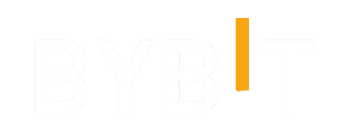 байбит, bybit, дневник трейдера для Bybit