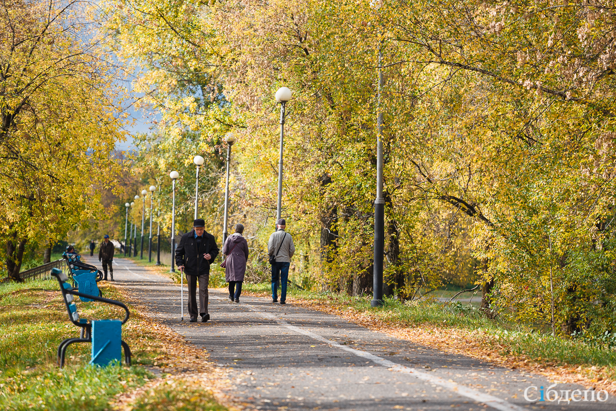 Кузбасс городской: Междуреченск • 30.10.2018 • Сибдепо