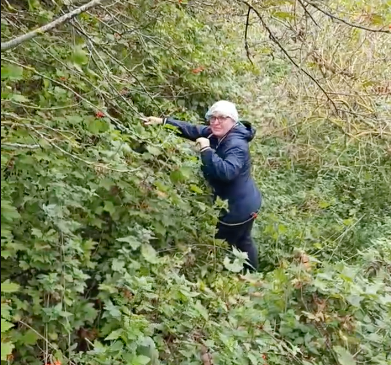 травница, травница калининград, лечебные травы, свойства трав, свойства лечебных трав калининград, оберег, оберегать, славянские обереги, кукла оберег, молитва оберег, скрутки, скрутка свечей, женская баня, лечебная баня, свойства бани, бани калининград, женская встреча, мастер-класс свечи, мастер-класс калининград, сбор трав, купить сбор трав, какой сбор трав, народная медицина, лечение народной медициной, травник калининград