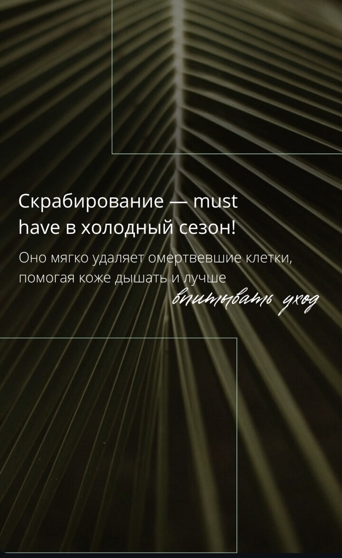 Скрабирование MUST HAVE в холодный сезон!