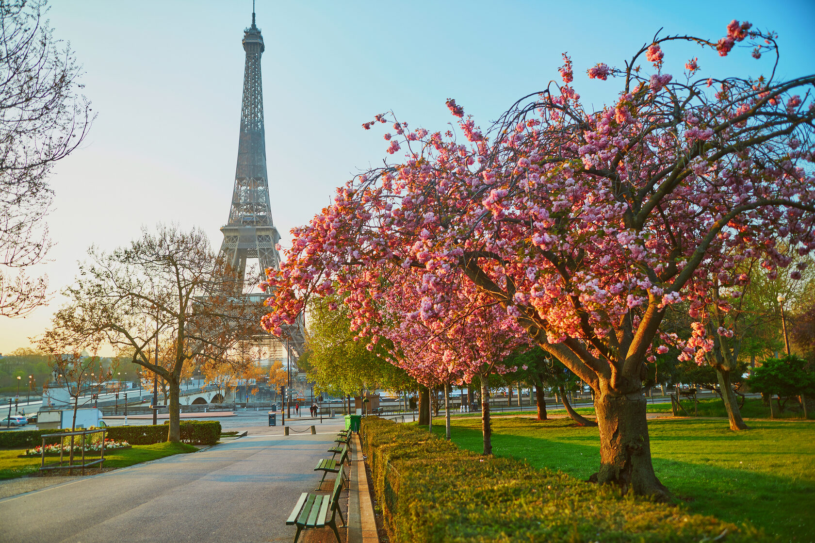 Travel Tips: Paris In March