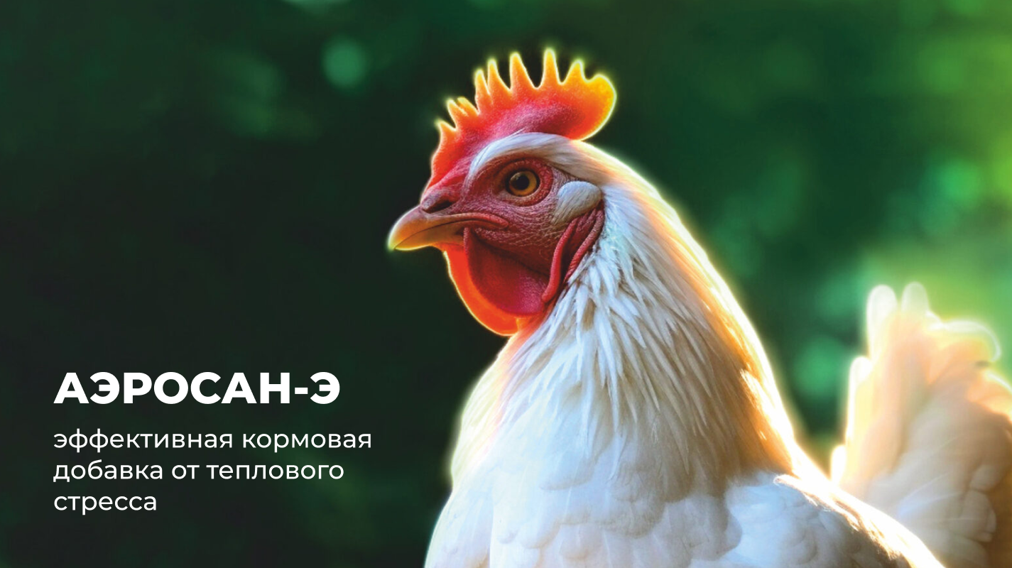 Баннер 3
