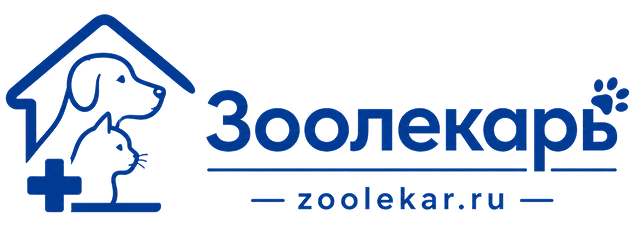 Company