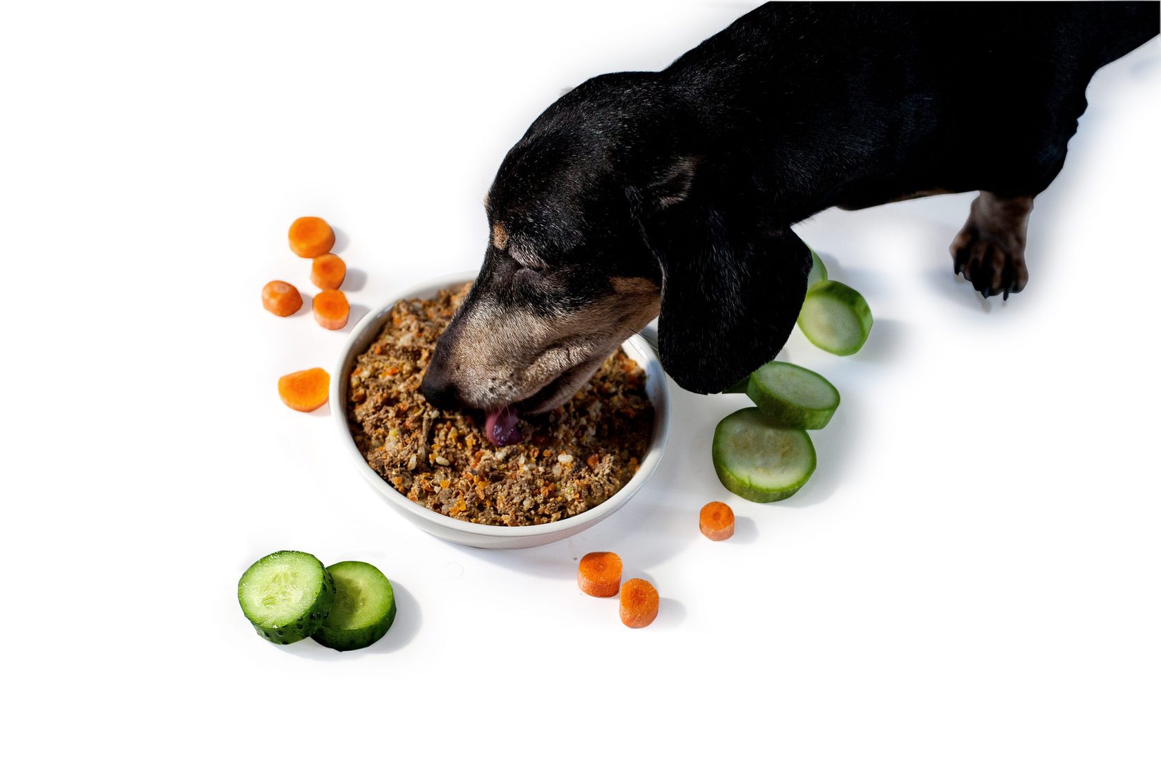 Можно собаке вареную картошку. Еда для собак. Натуральное питание для собак. Еда для собак натуралка. Питание натуральной едой собак.