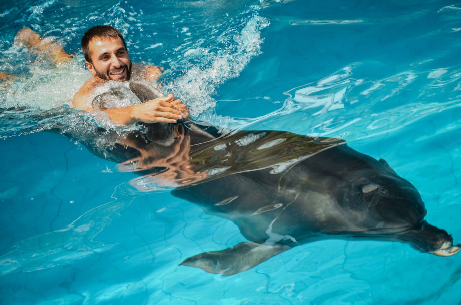 Сколько стоит купание. Плавать с дельфинами. Мужчина с дельфином. Плавание с дельфинами в дельфинарии. Поплавать с дельфинами в Москве.