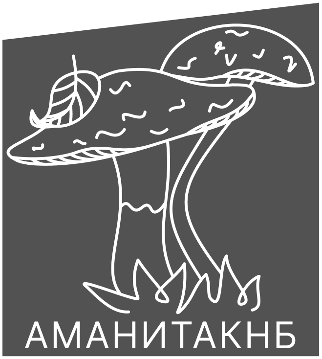 AMANITAKNB