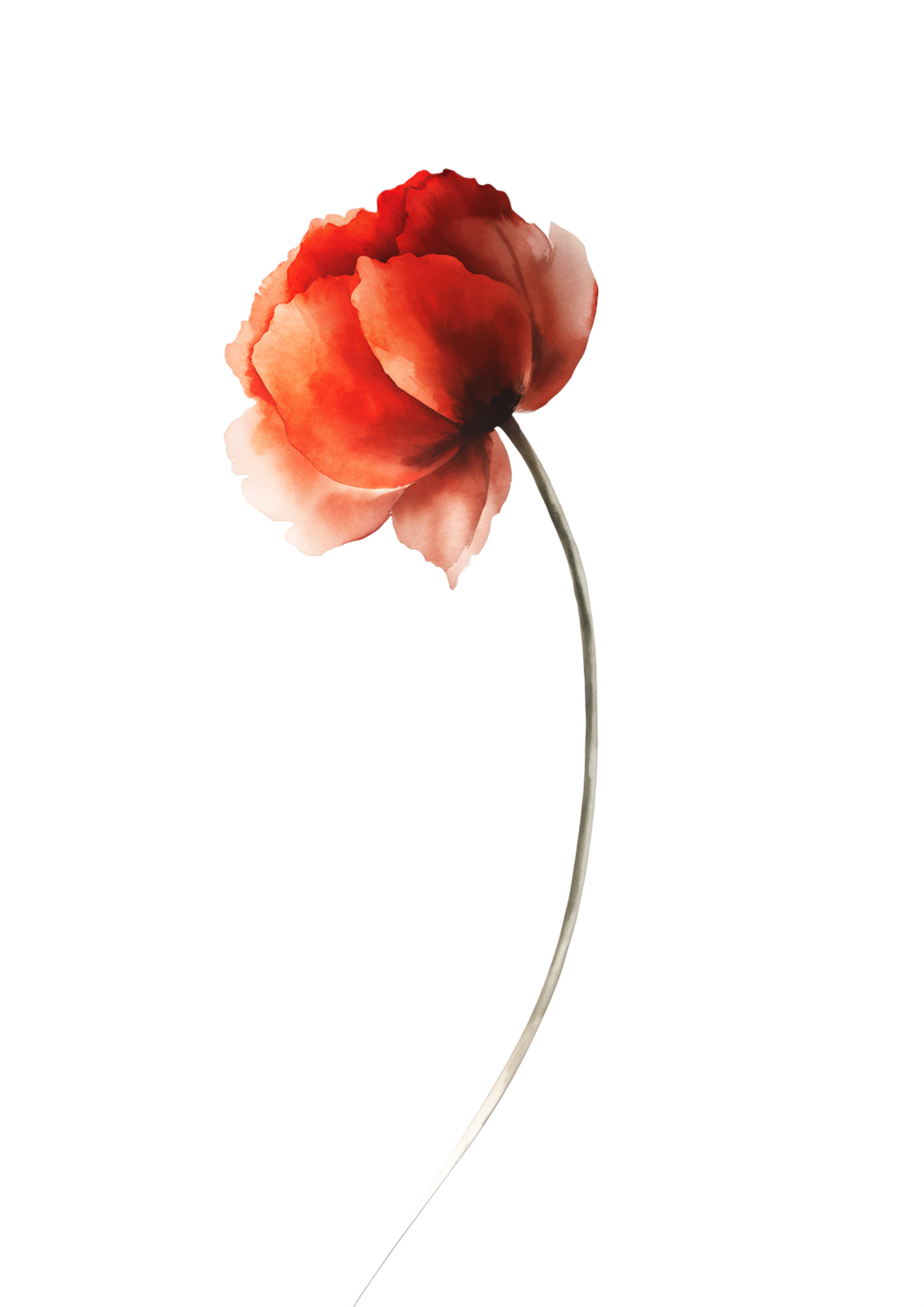 Move to shopping Bimoree