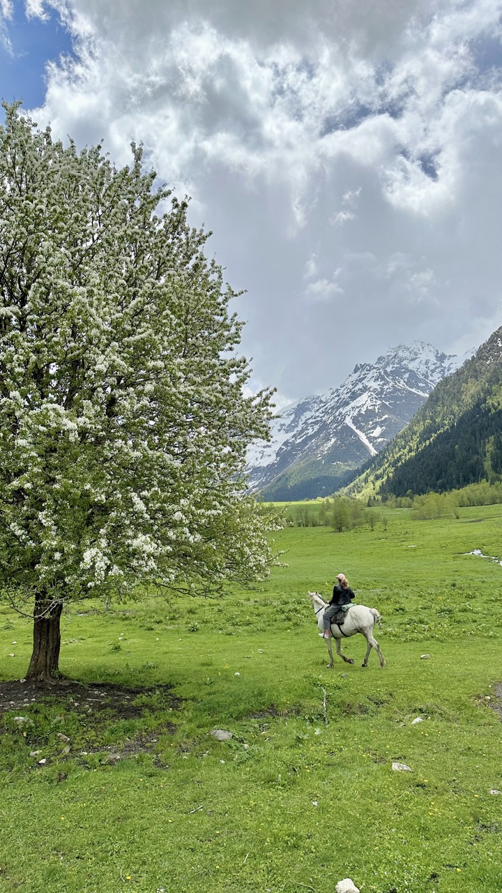 Riding wild. Архыз лошади. Лошади в Архызе. Конные походы Алтай Аркадия. Катание на лошадях Архыз.