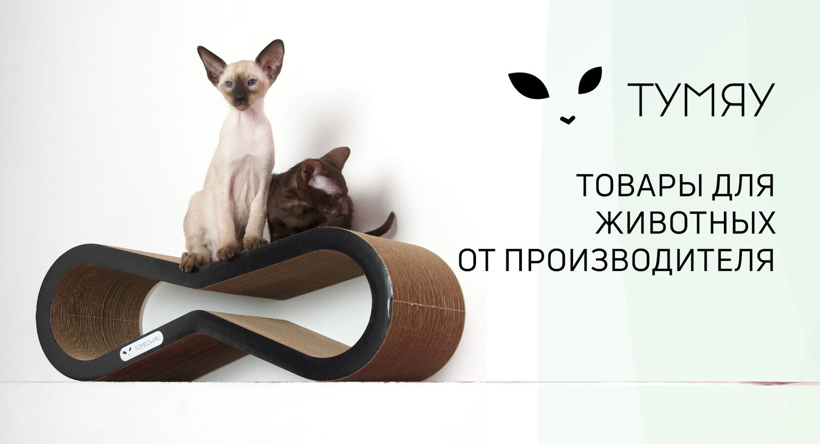 Когтеточки для кошек