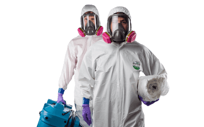 экстремальный клининг новосибирск