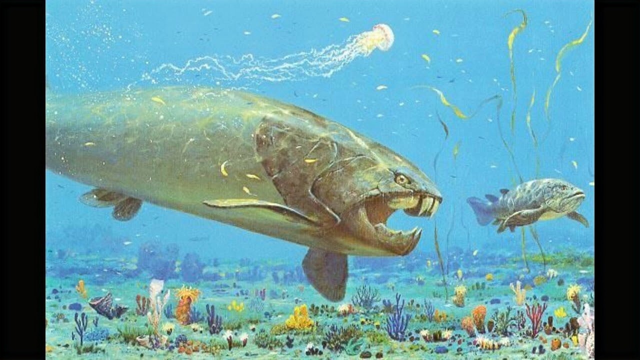 Какими были первые рыбы. Палеозойская Эра Девонский период рыбы. Панцирные рыбы девонского периода. Плакодермы ДУНКЛЕОСТЕЙ. Девонский период палеозойской эры.