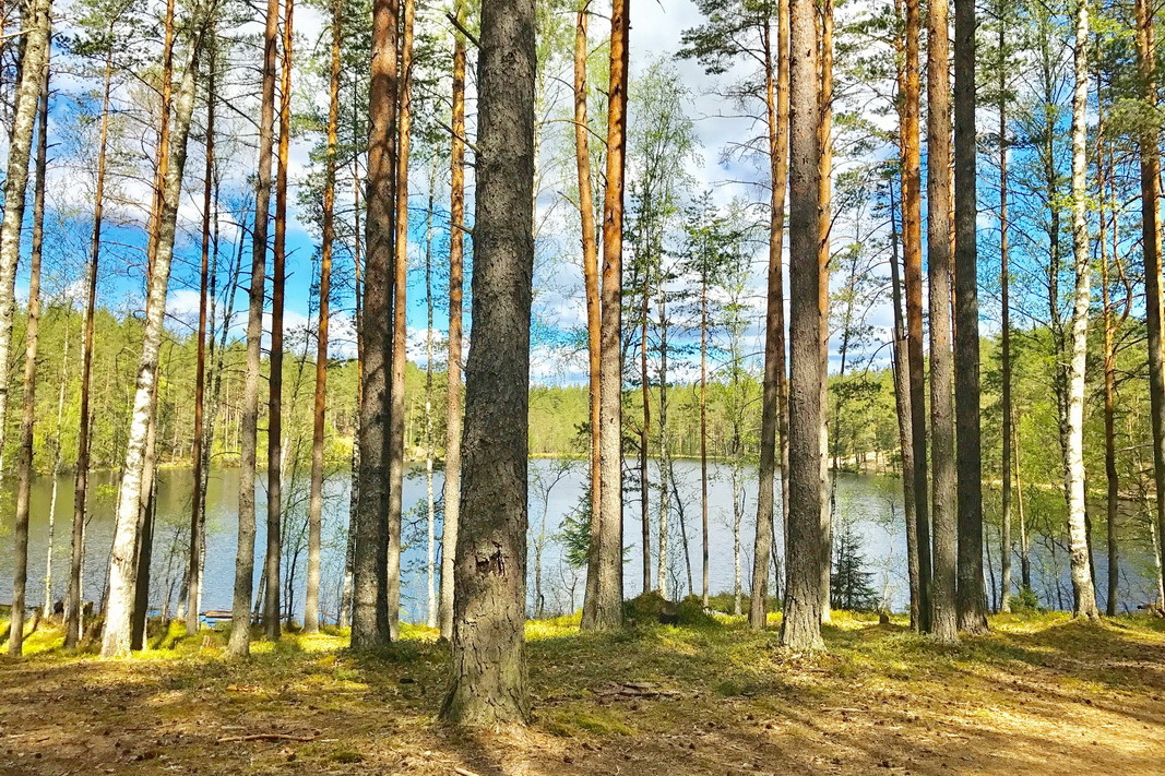 Погода неделю приозерский