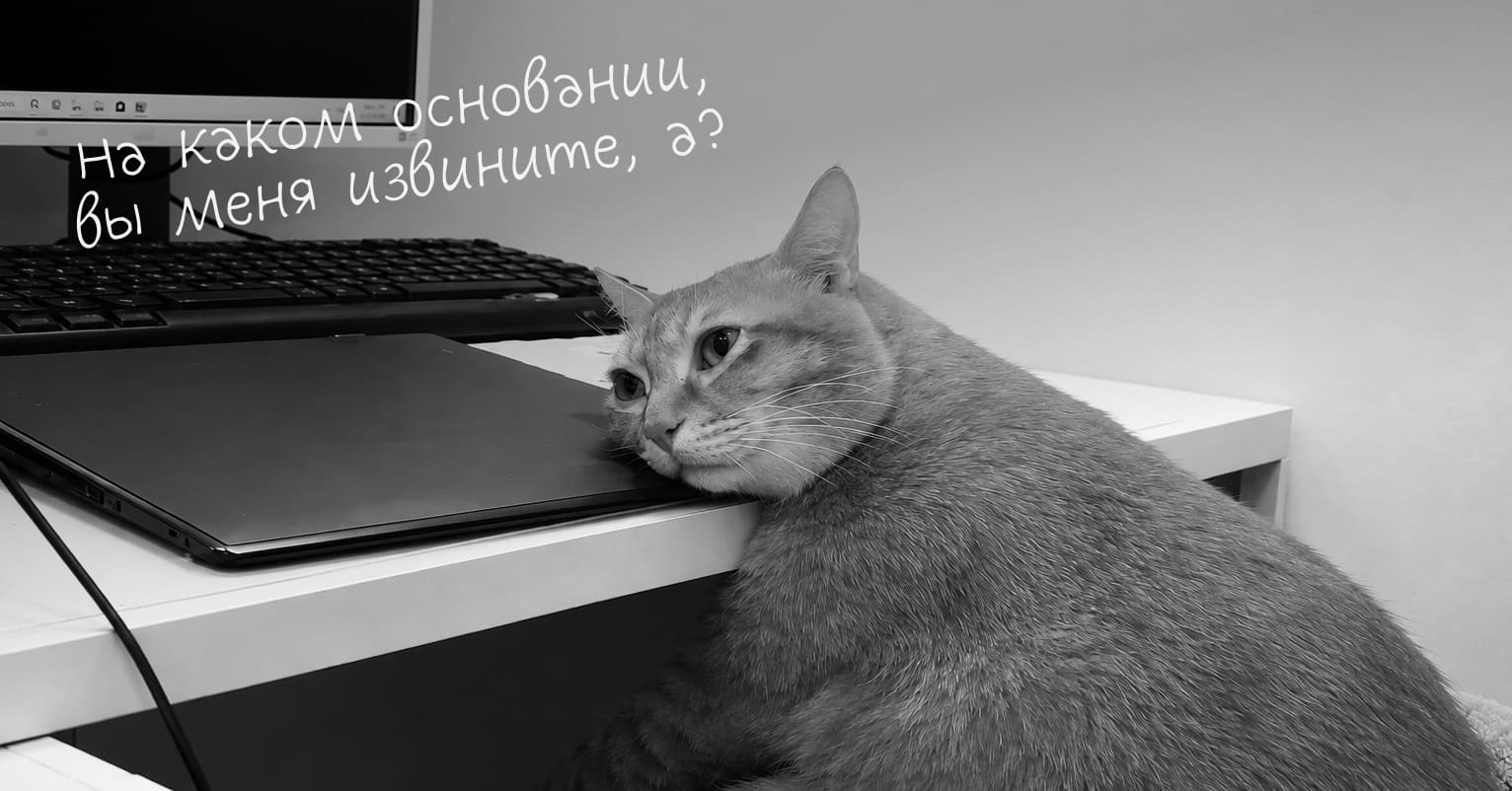 Как оспорить необоснованный возврат - Достависта