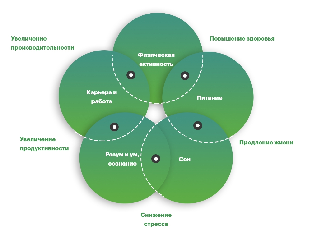 Холистический подход это