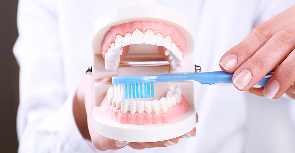 Гигиена рта в стоматологии