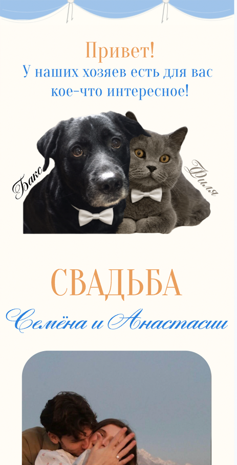 Макет 14
