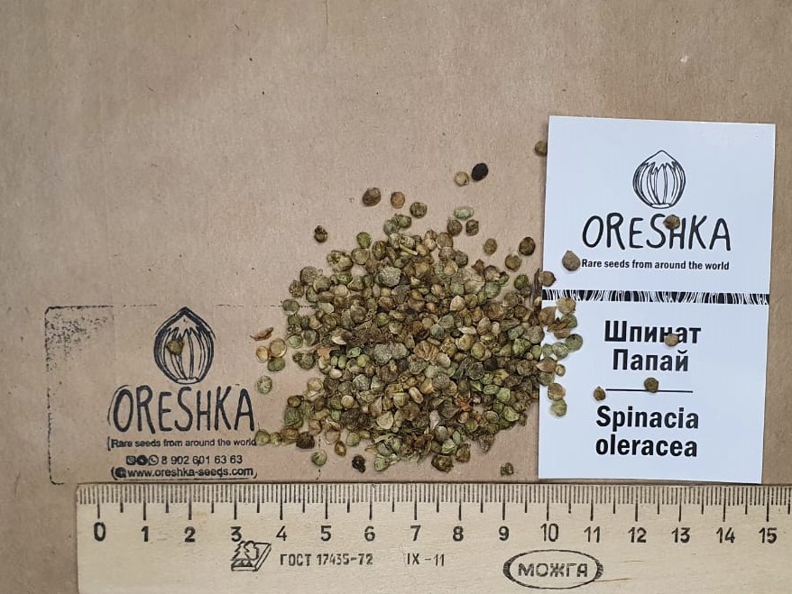 Семена Папайи Купить В Аптеке