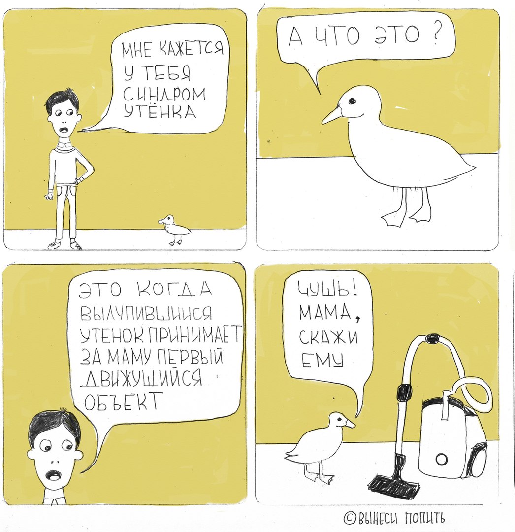 синдром утенка. синдром утки. человек с синдромом утенка. синдром уточки. синдром утенка в психологии.