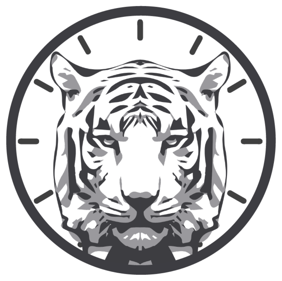 Логтип Консалт Тайм