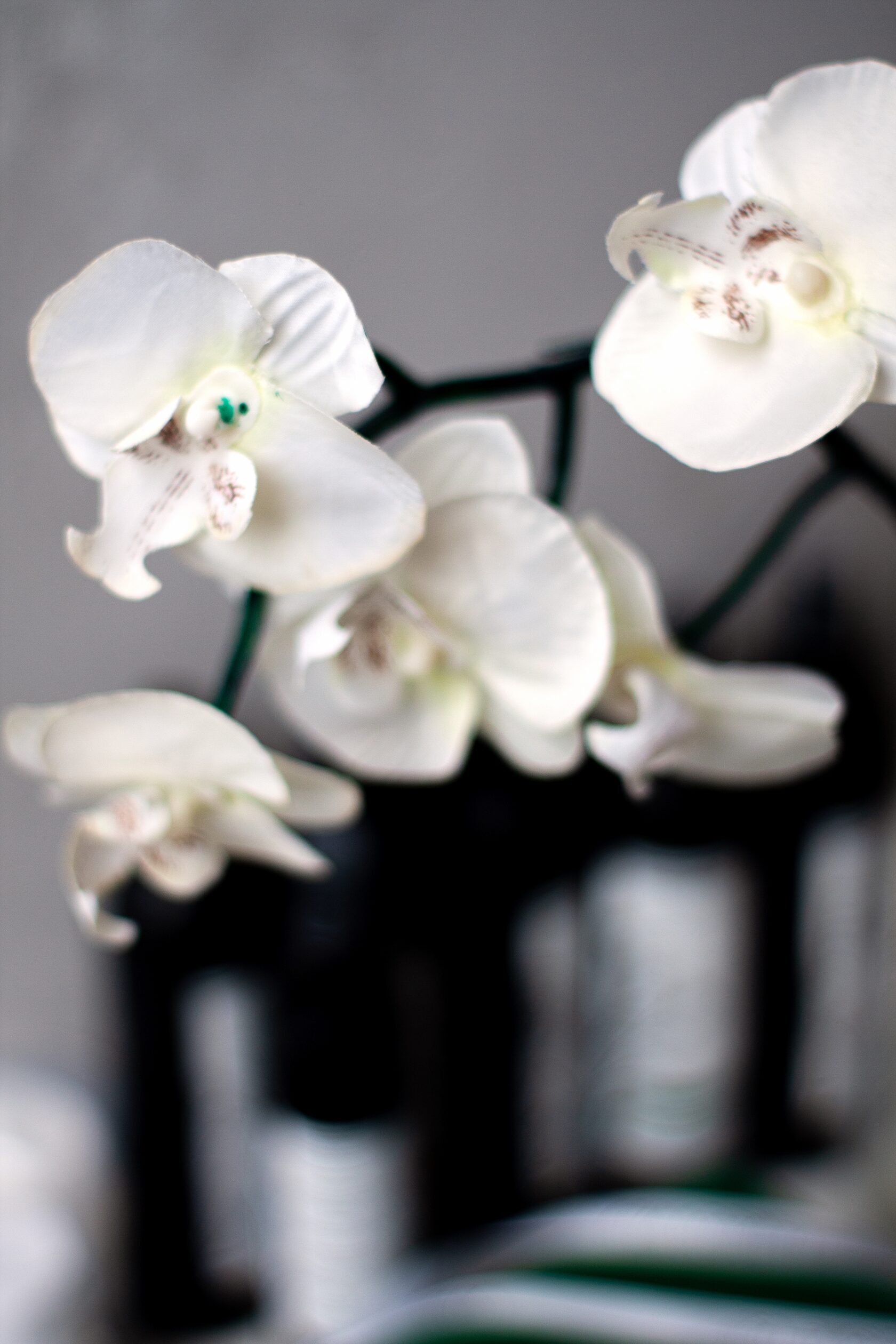 Средства по уходу за кожей от российского производителя - AIVA COSMETICS