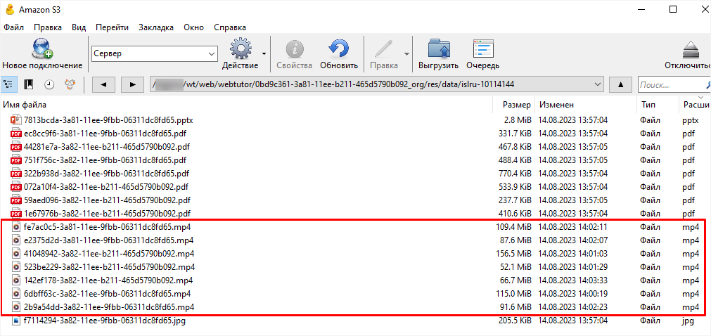 WebSoft, LXP, HCM, Алексей Корольков, Webtutor