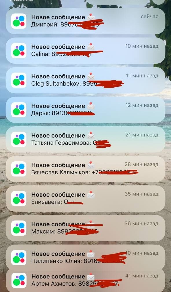 Уведомления с заявками на Авито