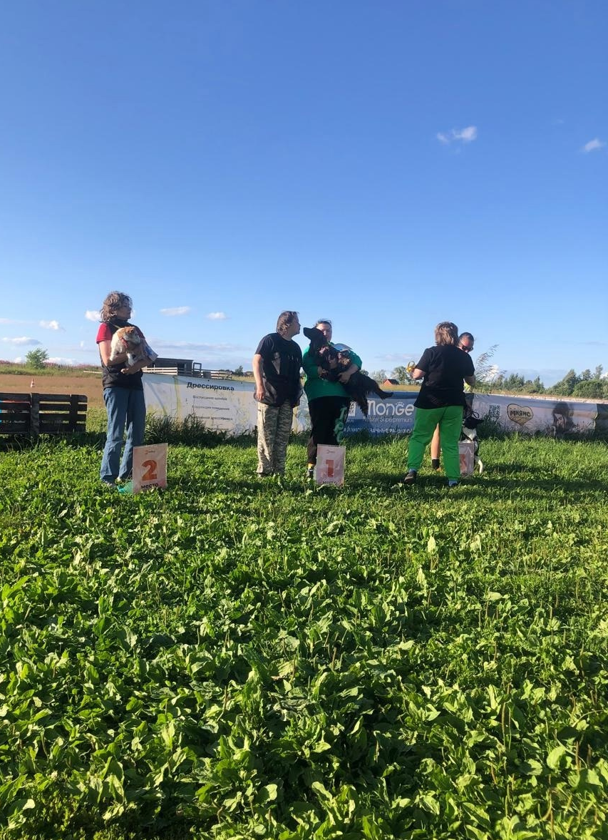 филд спаниель первое место в классе ноузворк