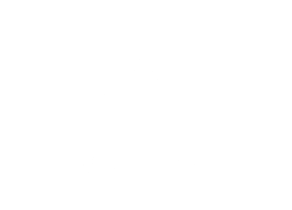  TEAM EXPERT 