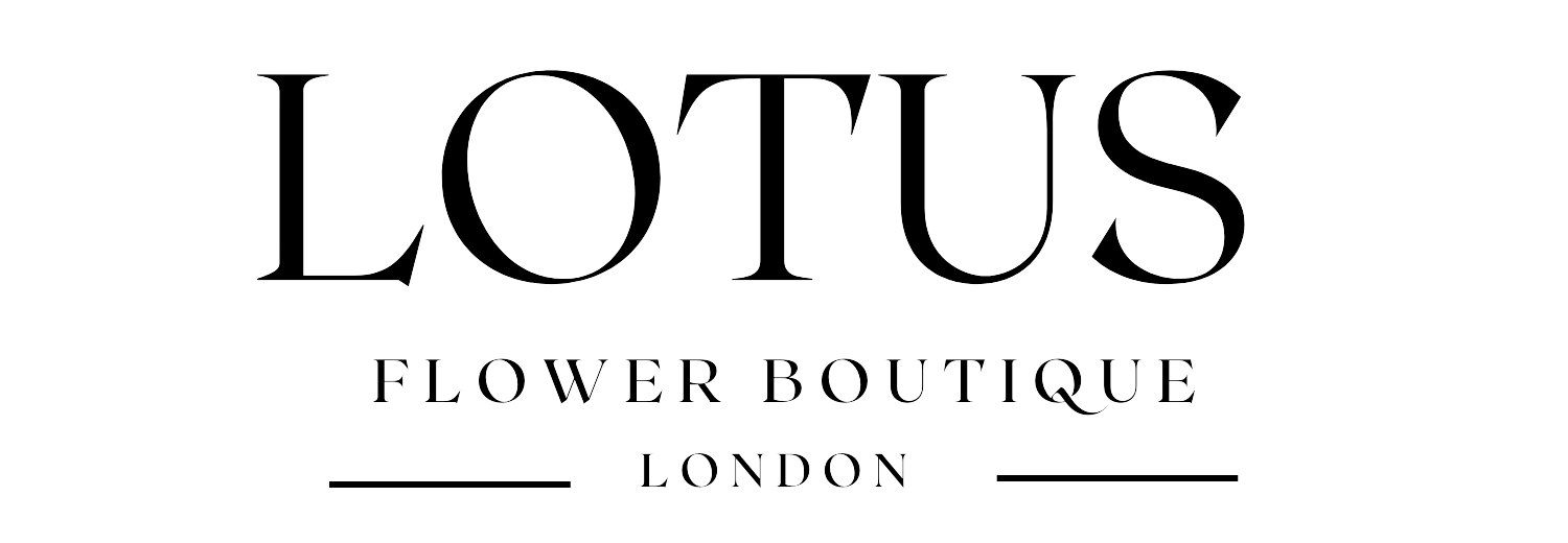 Lotus Boutique London