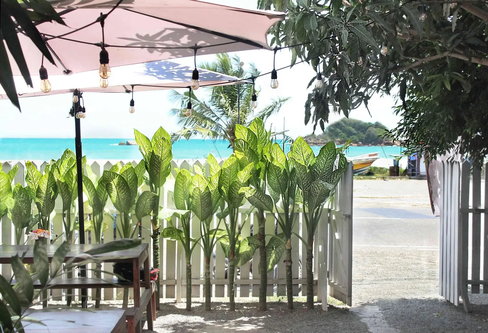 серф кемп с видом на океан велигама