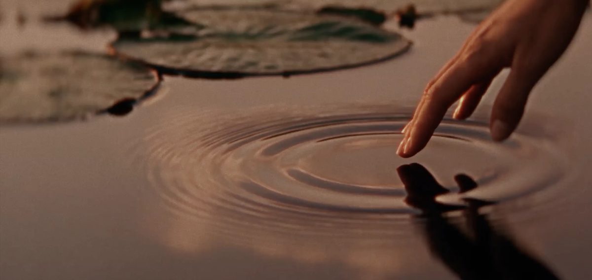 Calm water — the idea behind Sei Saadiyat