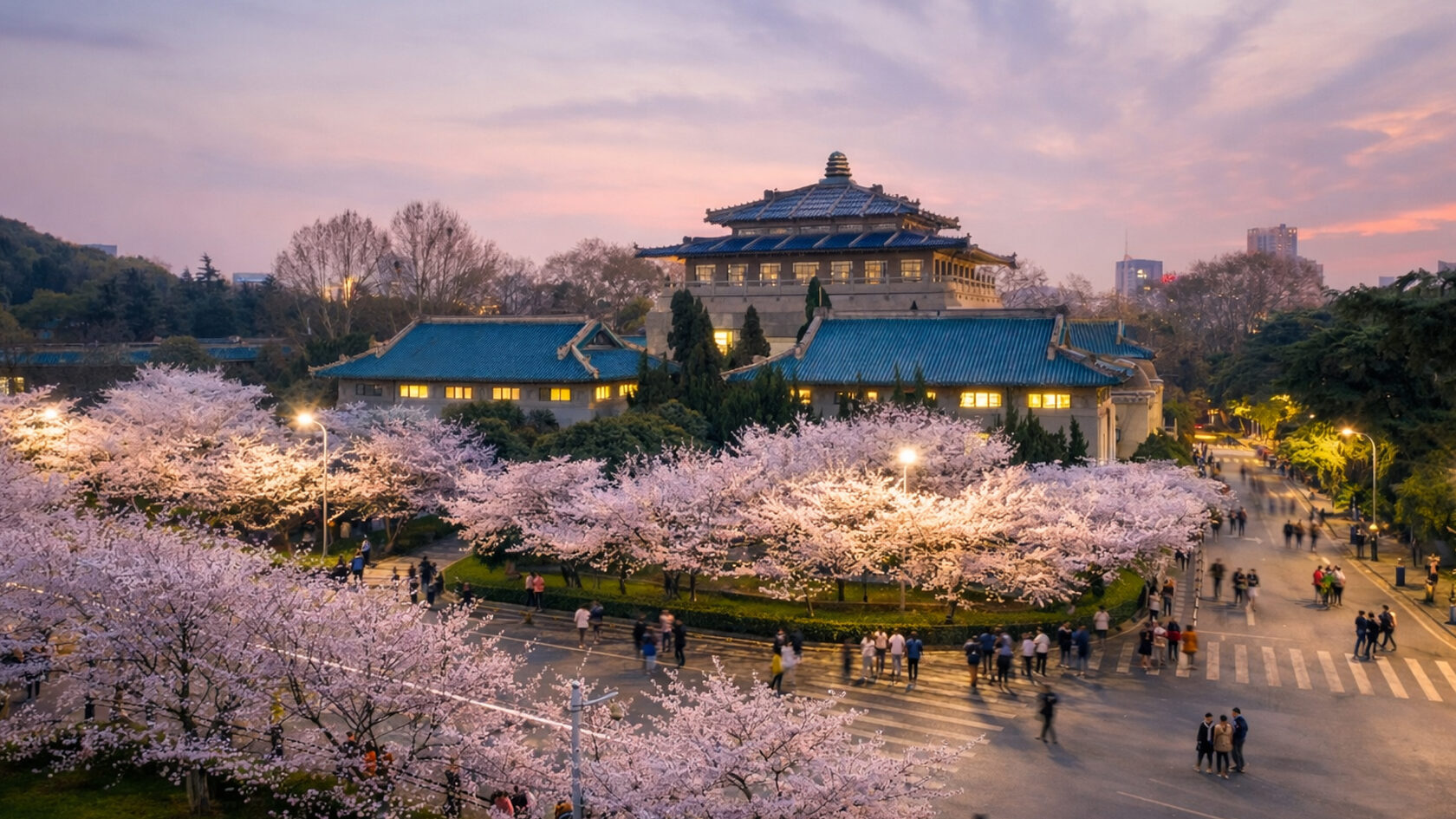 Университетские аллеи сакур. Ухань. Китай