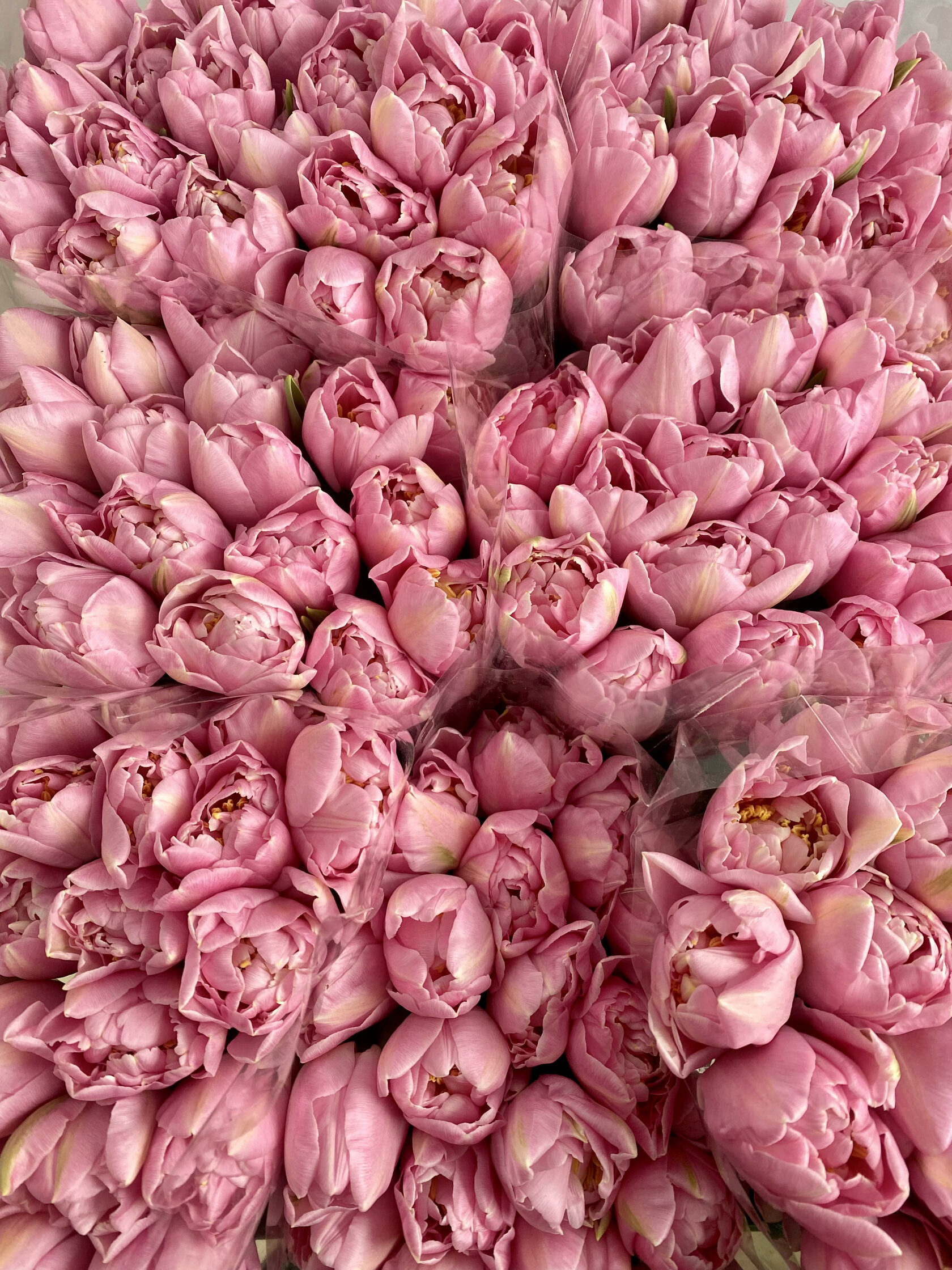 Букеты для любимой девушки - букет цветов на 14 февраля | Kate’s flowers