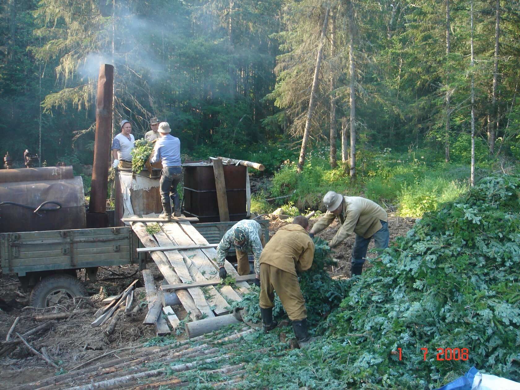 Производство пихтового масла с фото и видео - Фитонцид