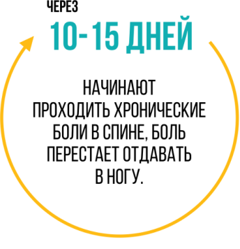 Тренажер хребта Доктор Кипарис