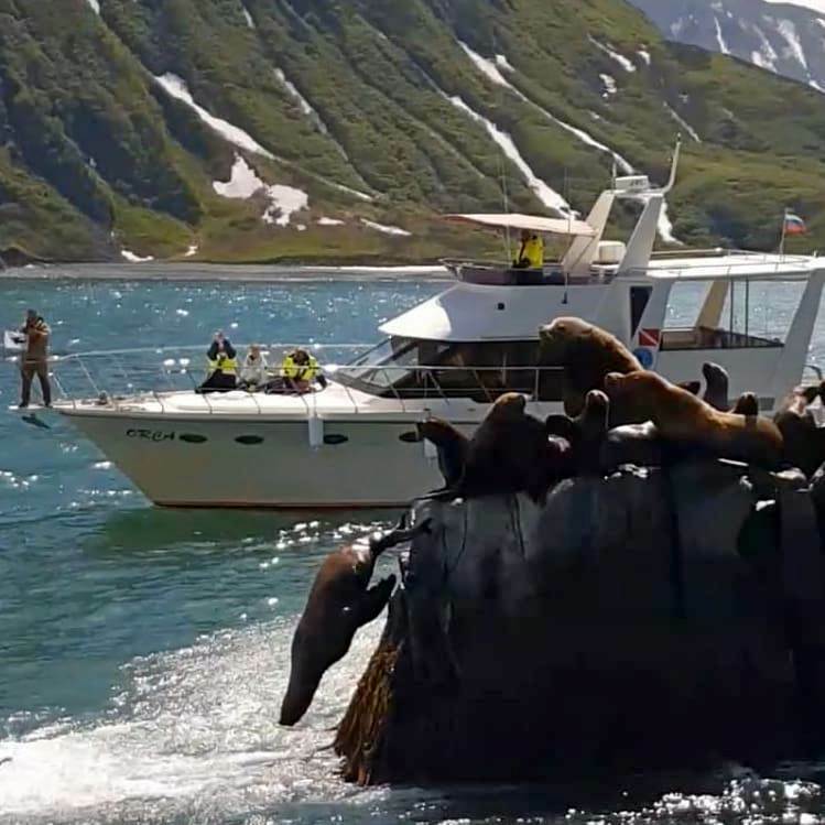 Морские прогулки в Петропавловске Камчатском